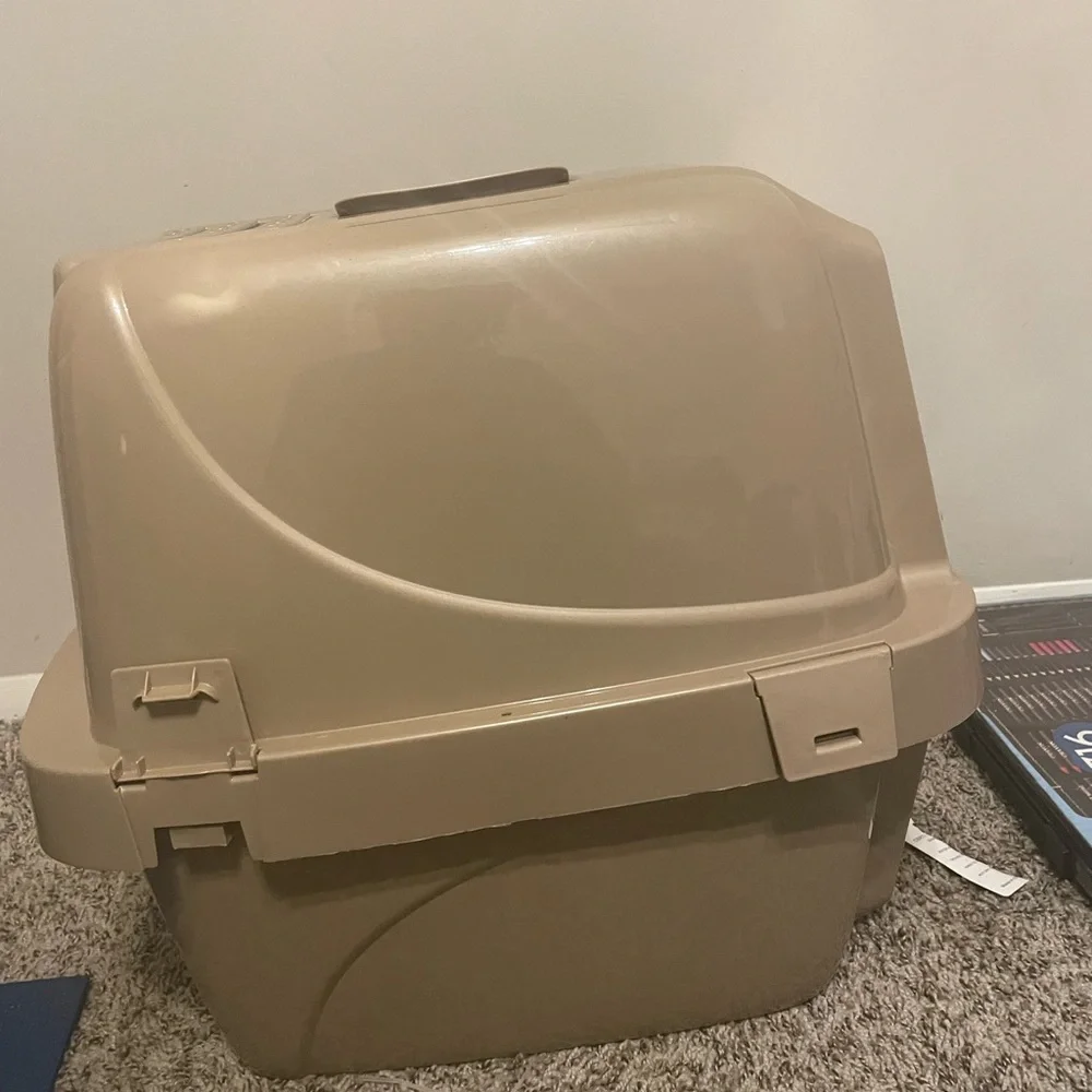 Cat Supplies & Accessories